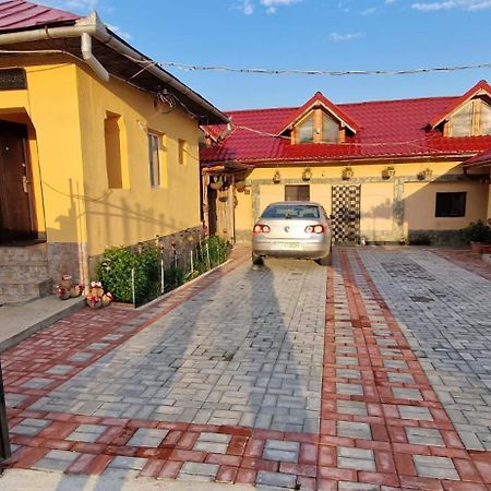 Casa Andreea Hotel Novaci Străini Exterior foto